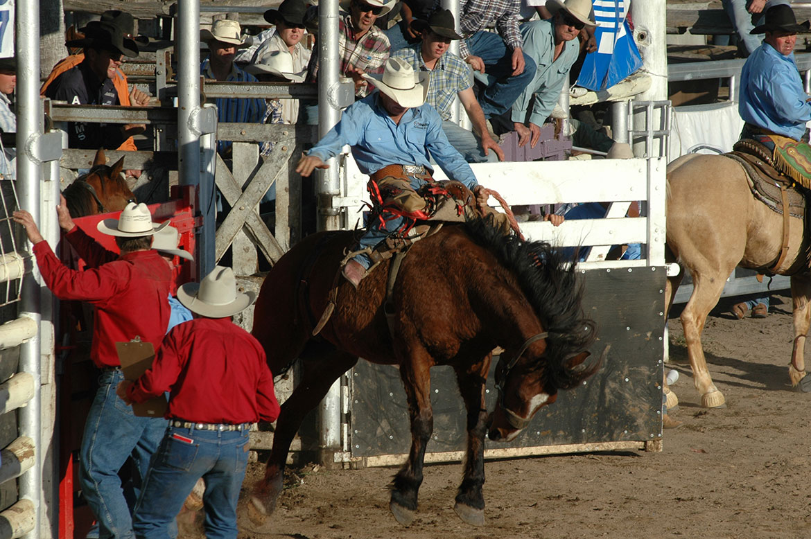 57-Rodeo+Action.jpg