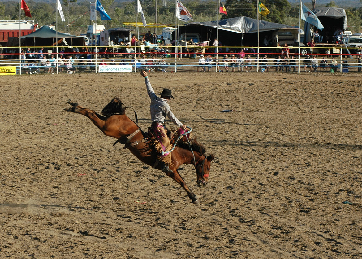 58-Rodeo+Action.jpg
