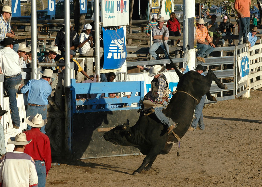 54-Rodeo+Action.jpg